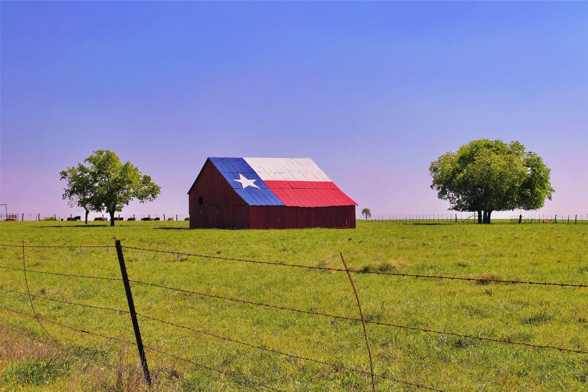 Brock Upham Yost & Strieber PLLC in Boerne, TX (3)