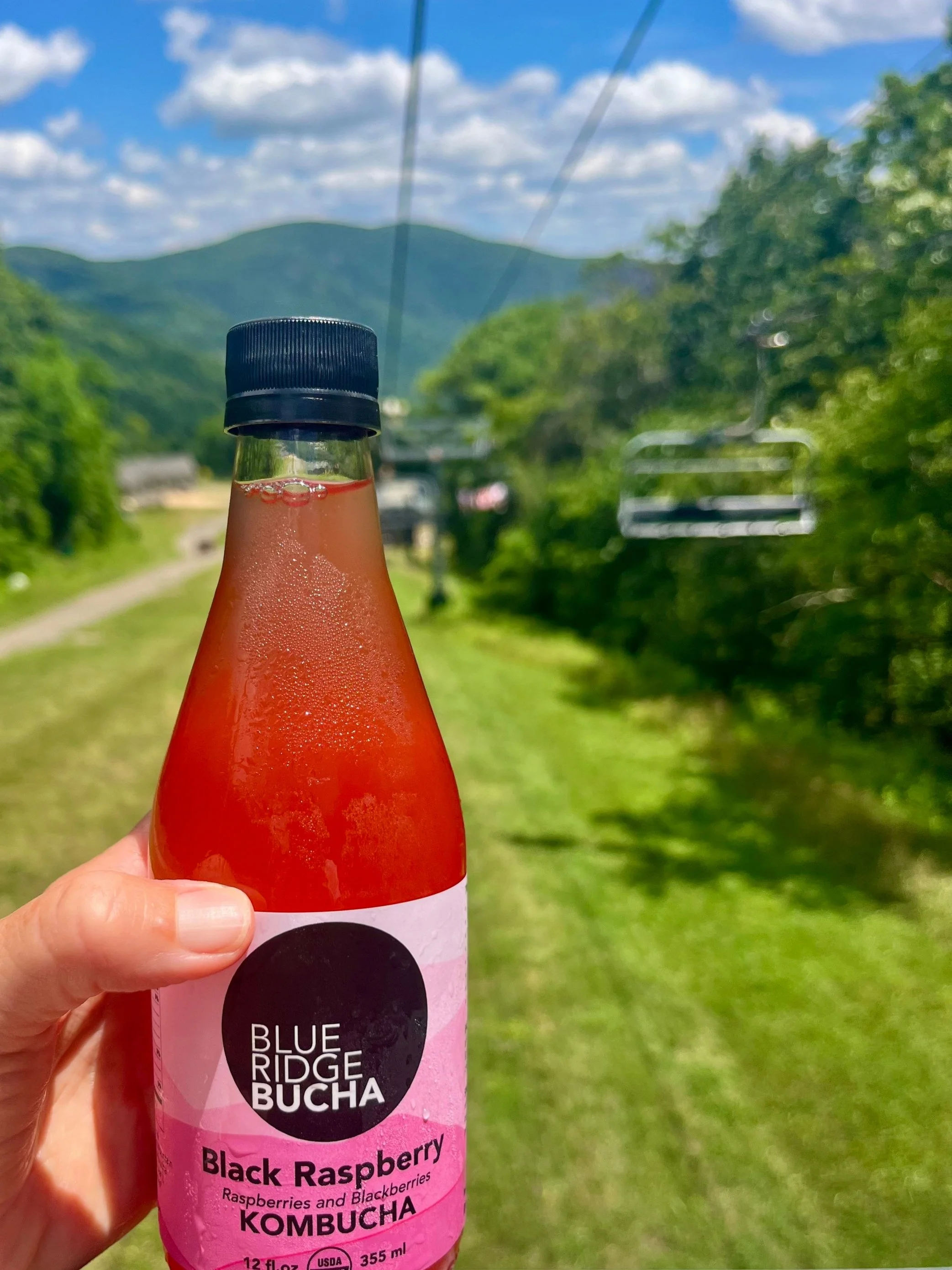 Blue Ridge Bucha in Waynesboro, VA