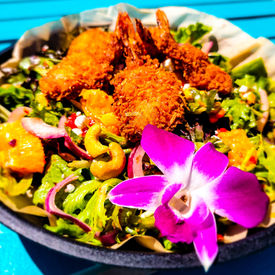 TT's Tiki Bar in Punta Gorda, FL (3)