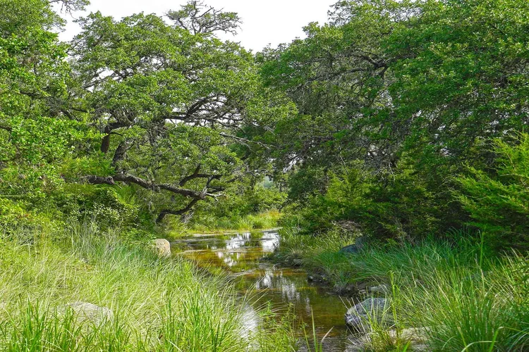 Anders Ranch Realty-Blanco in Blanco, TX