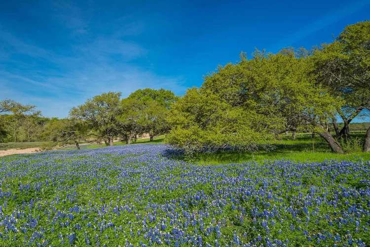 Anders Ranch Realty-Blanco in Blanco, TX (3)