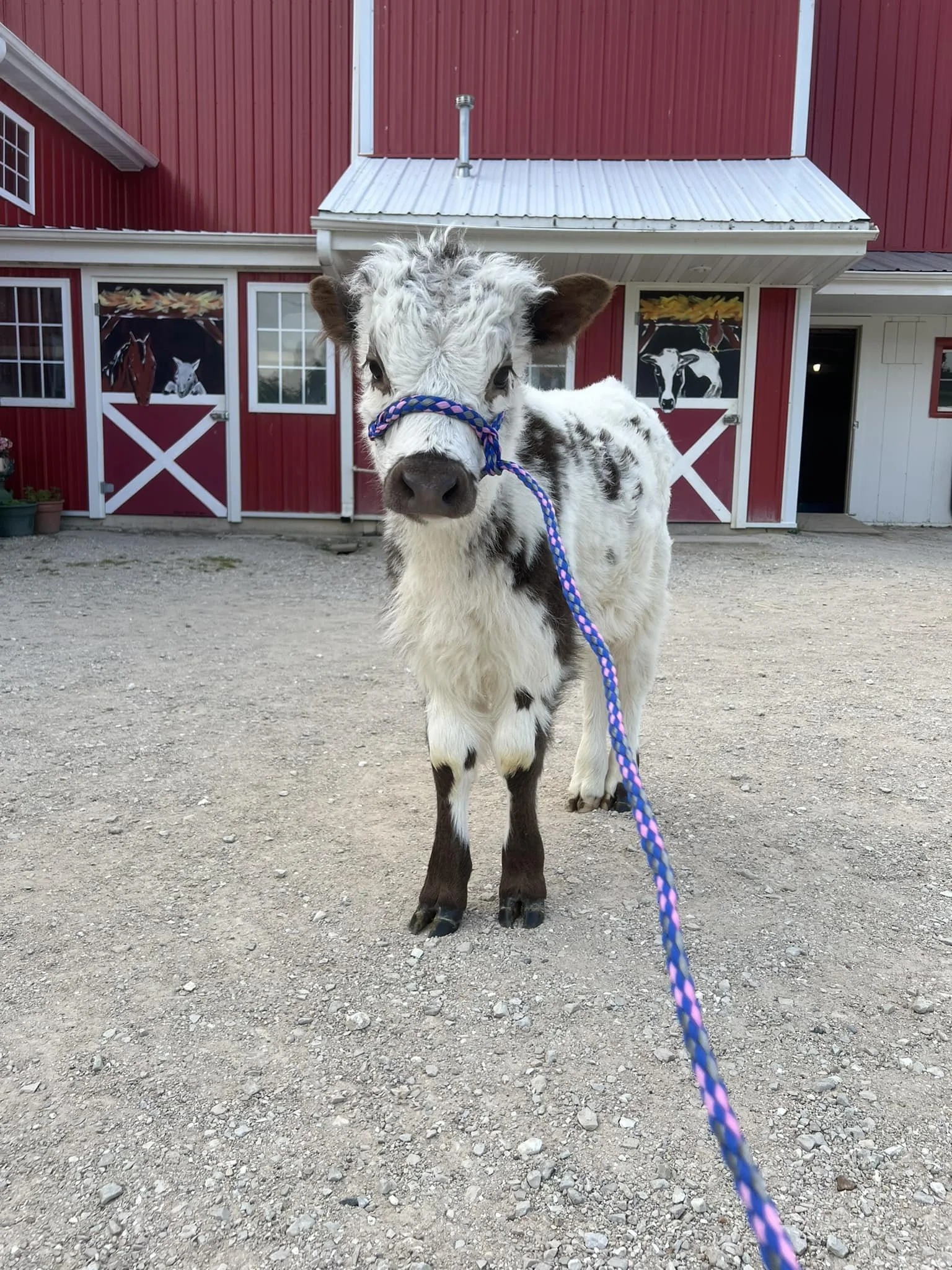 Green Meadows Petting Farm in East Troy, WI (4)