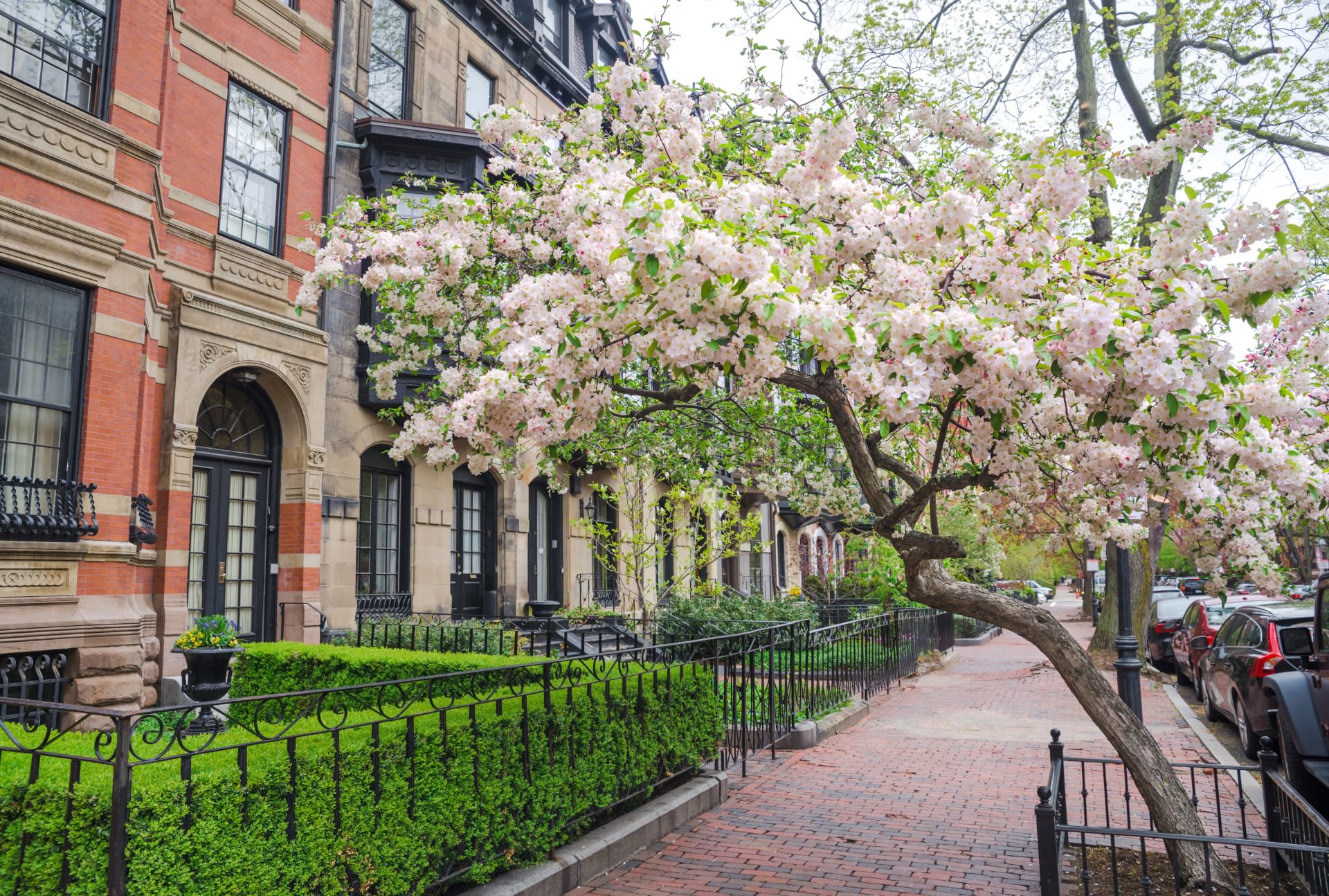 Jessica Dailey, Realtor – Metro Baltimore & Bolton Hill Real Estate | Compass in Baltimore, MD