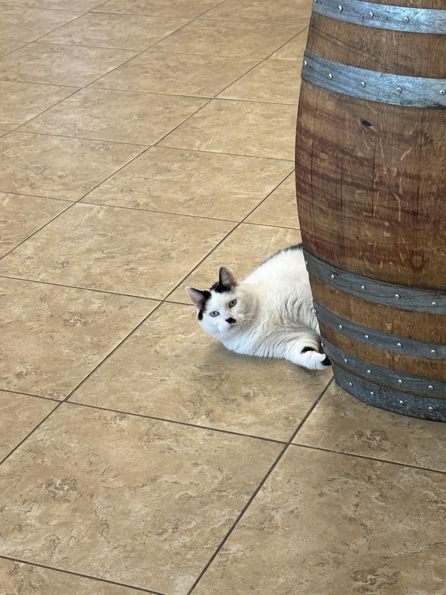 Forest Edge Winery in Shepherdsville, KY