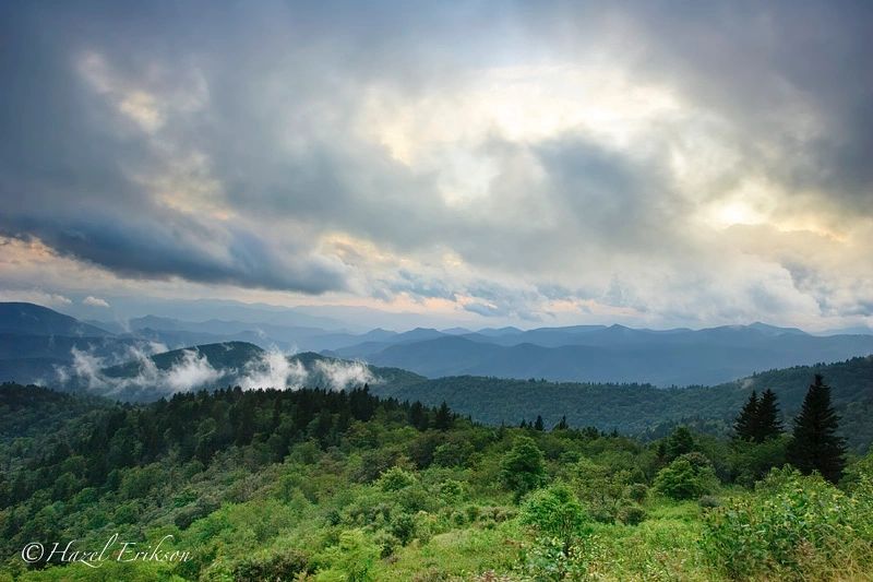 Franklin Freeman CPA, PLLC in Asheville, NC