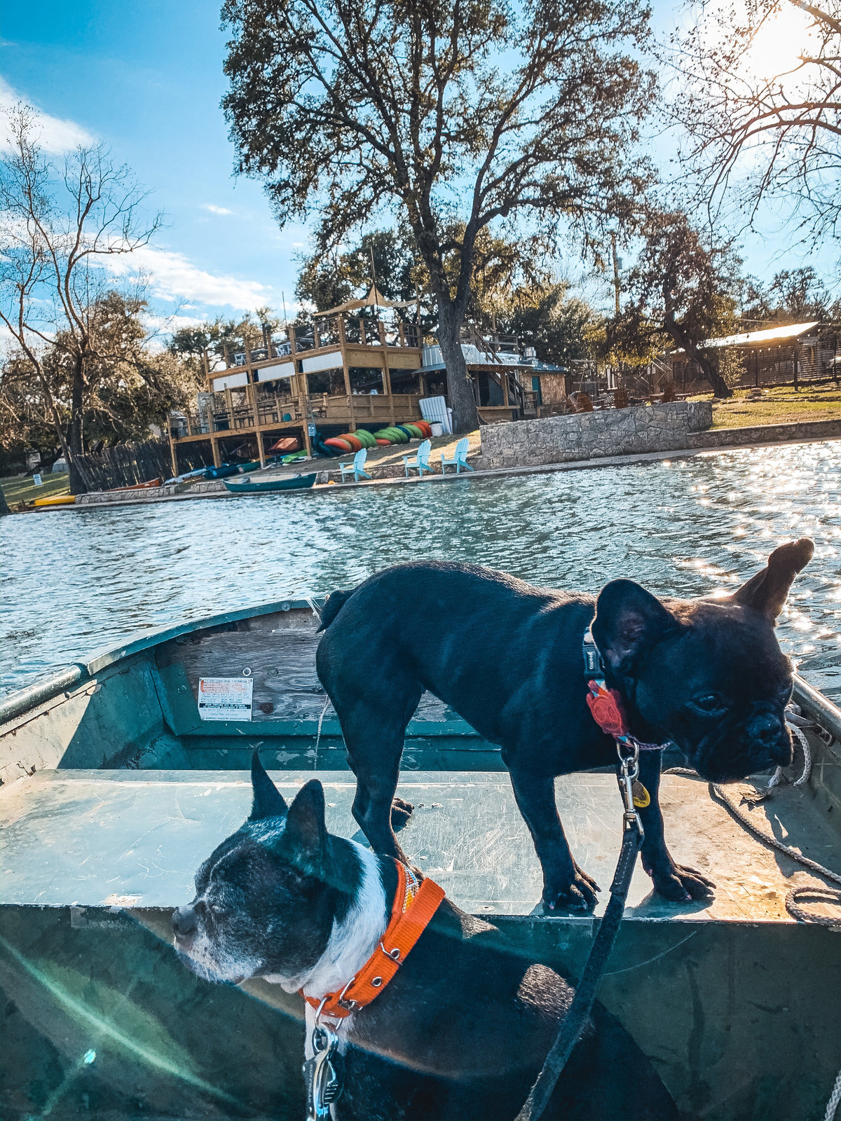 Dark Skies Tavern & Kitchen in Wimberley, TX (4)