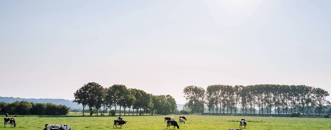 Noble Rind Cheese Company in Viroqua, WI (3)