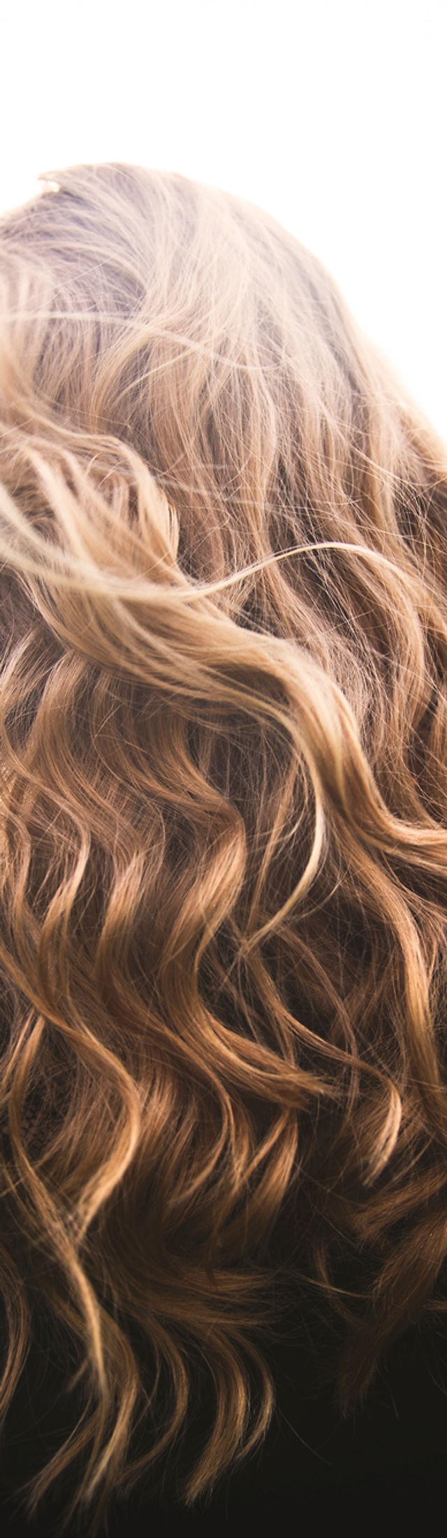 Salt + Light Hair Company in Fernandina Beach, FL