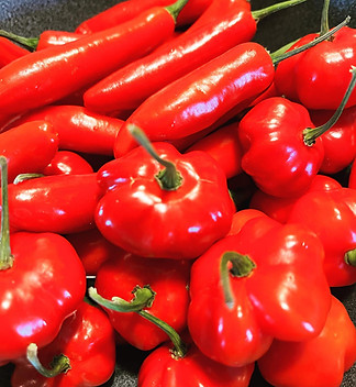 Peja Vu Fine Food and Catering LLC in Cleveland, WI (3)