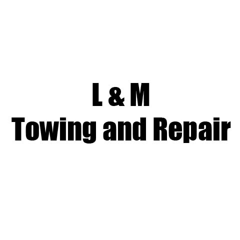 L & M Towing And Repair in Vermilion, OH (2)