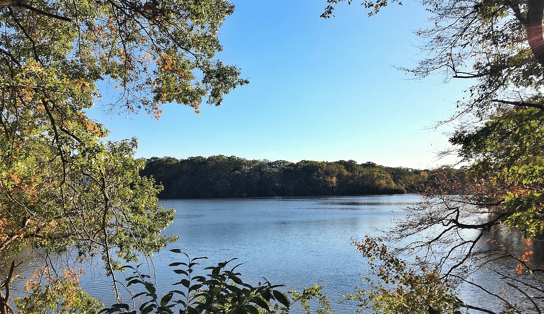 Driftwood Real Estate Group in Keyport, NJ