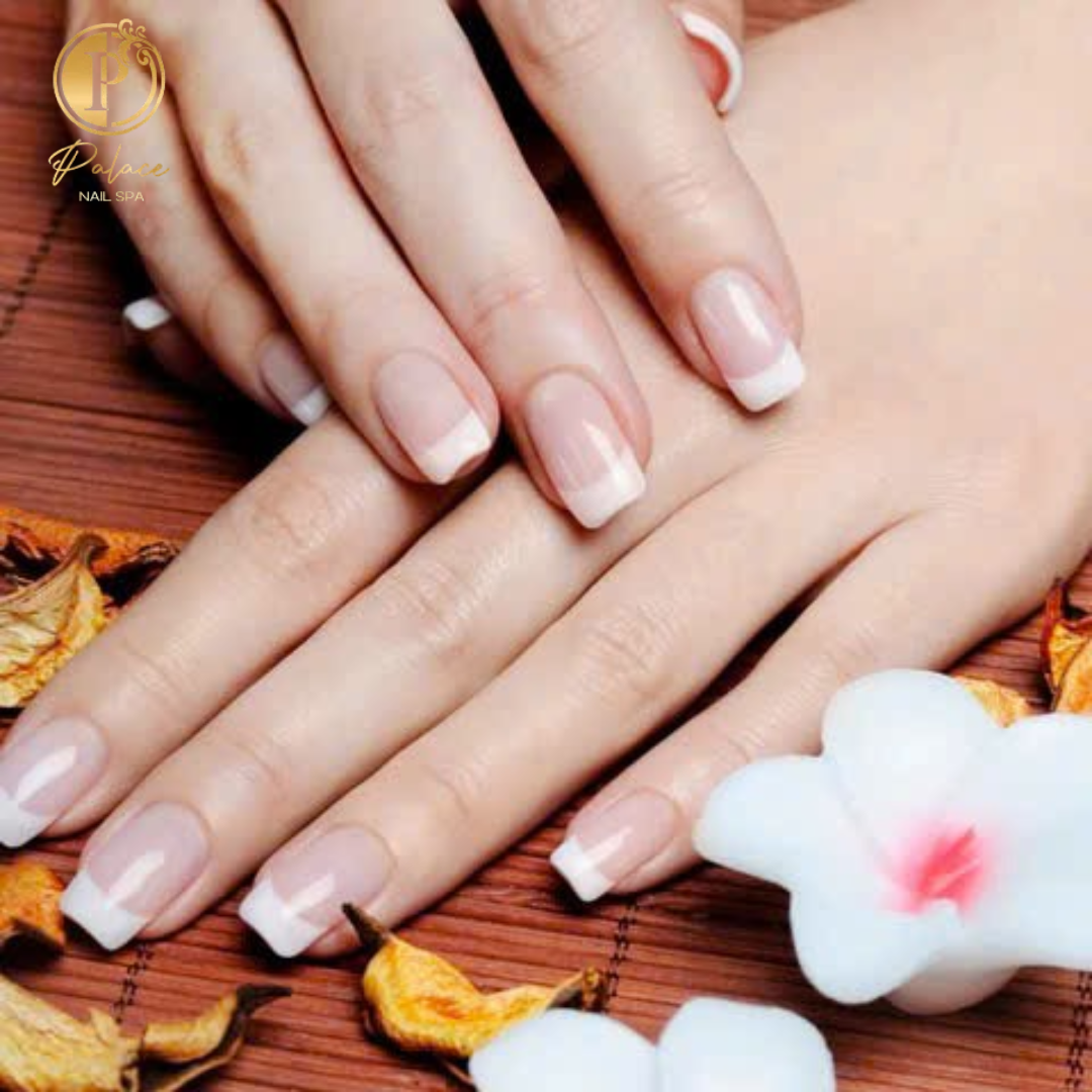 Palace Nail Spa in Madeira Beach, FL (2)