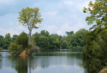 Alperin Law PLLC in Suffolk, VA (4)