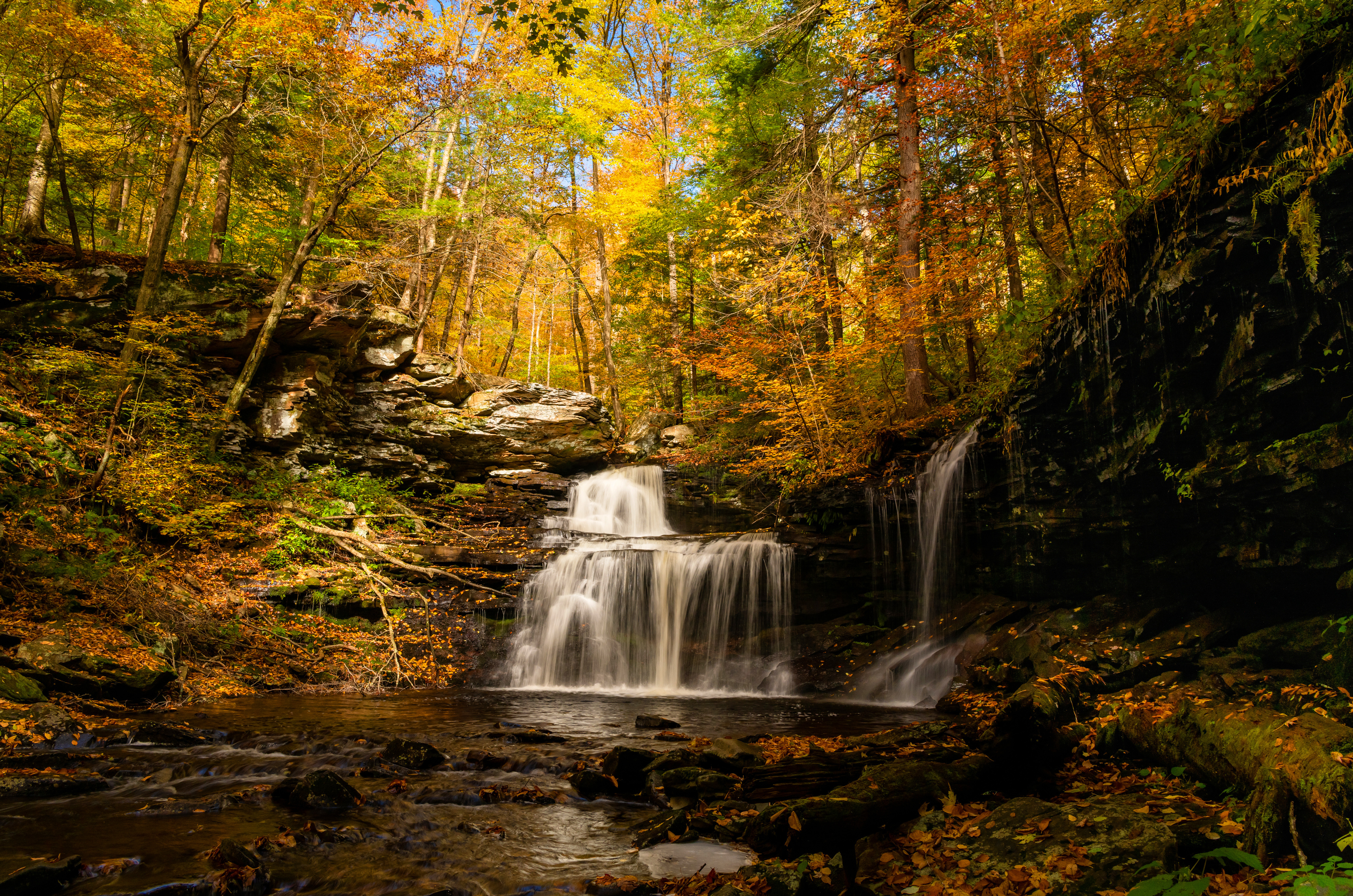Freedom Outfitters in Mount Joy, PA