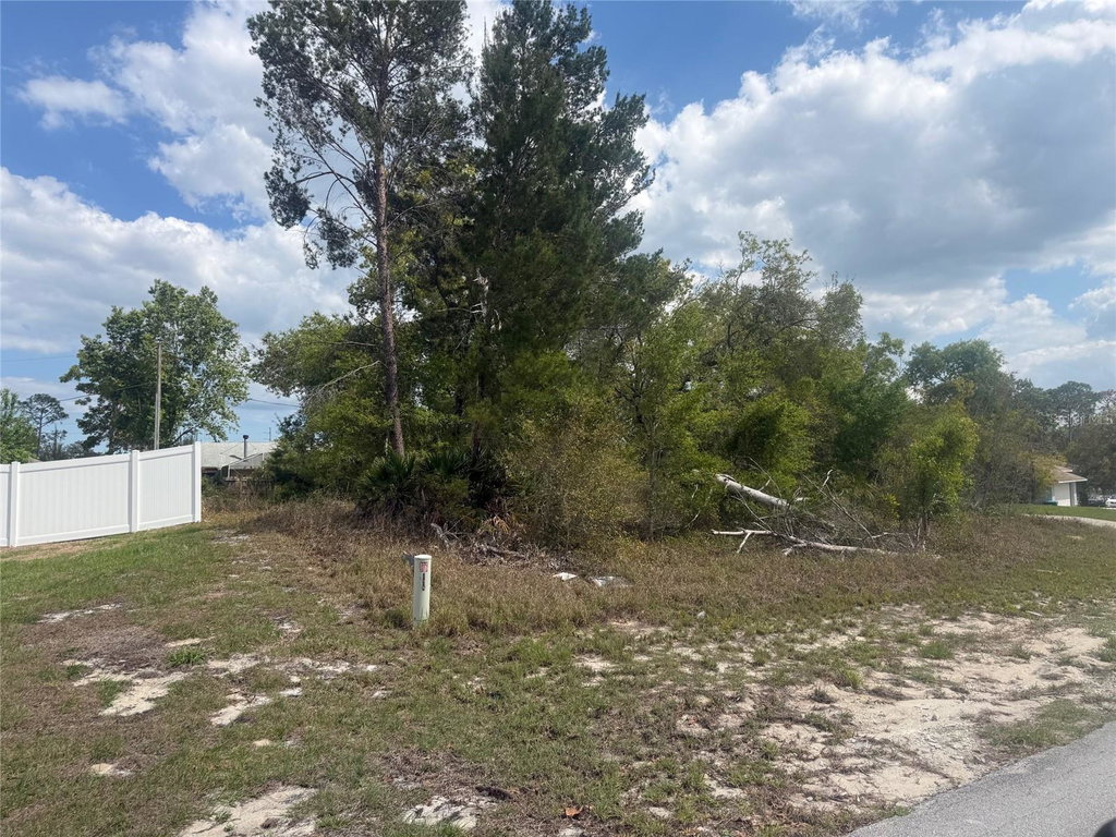 Regina Sittig, REALTOR® | Rise Realty of Florida in DeBary, FL (5)