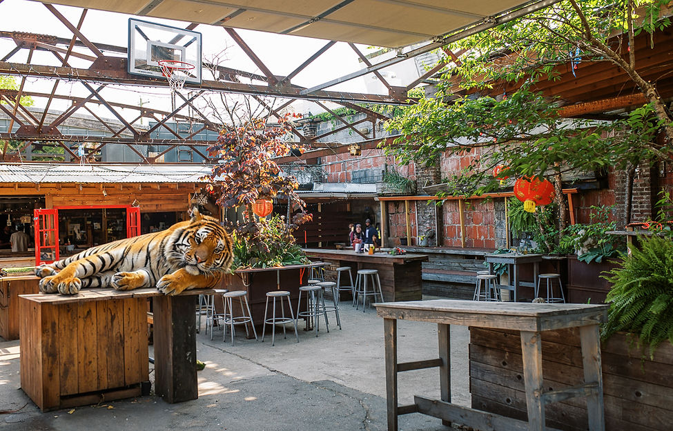 Tiger Bay Cafe in Asheville, NC (2)