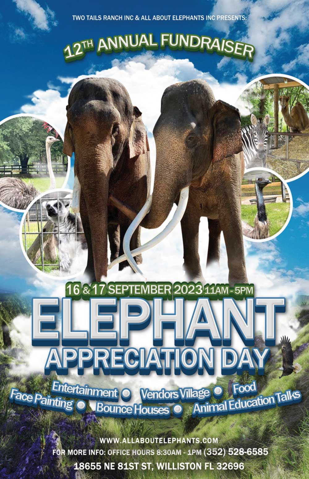 Two Tails Ranch: All About Elephants in Williston, FL