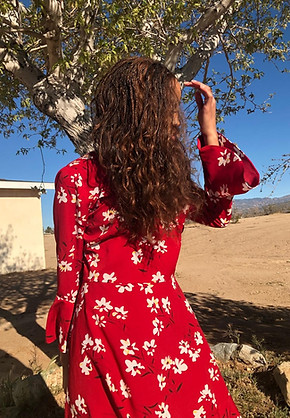 Angel Hair Braids in Los Angeles, CA