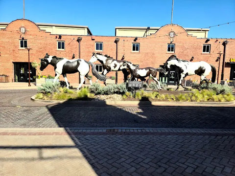 Pax & Beneficia Coffee - Fort Worth in Fort Worth, TX (5)