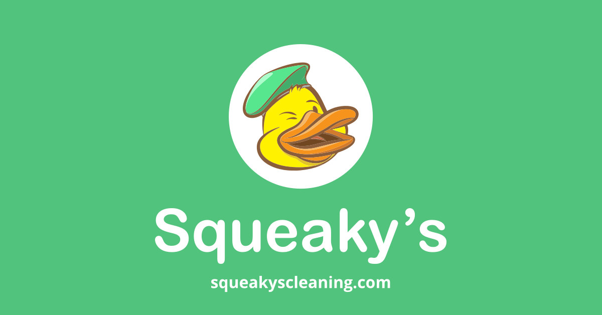 Squeaky's Home Cleaning in Berkley, MI (5)