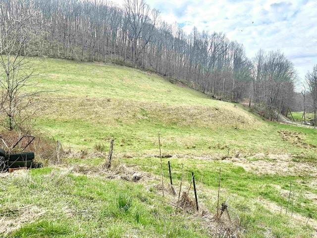 Bowie Home & Land, LLC DBA BH&L in Jane Lew, WV (2)