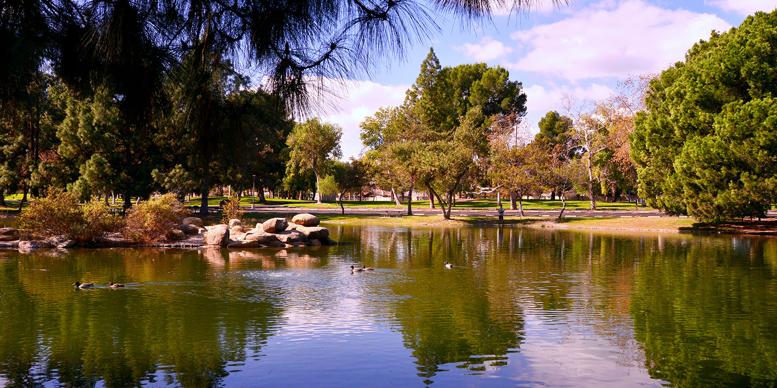 Lluvia Martinez Real Estate Broker in Orange, CA (3)