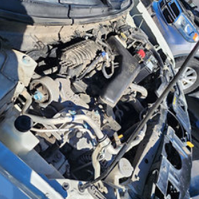 Black Mamba Services in Harker Heights, TX (2)
