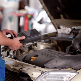 Black Mamba Services in Harker Heights, TX (5)