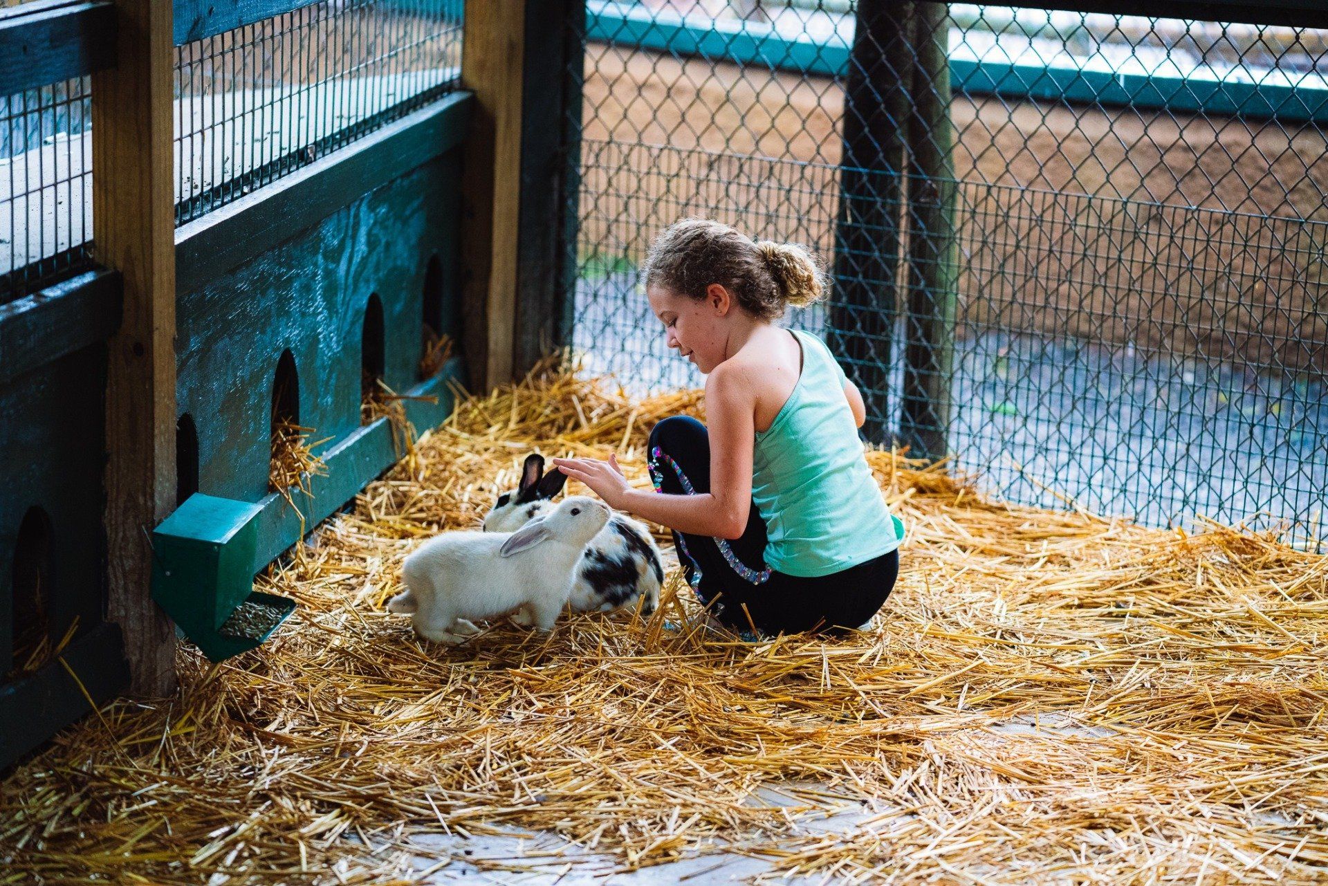 Bee City Zoo & Honey Bee Farm in Cottageville, SC (3)
