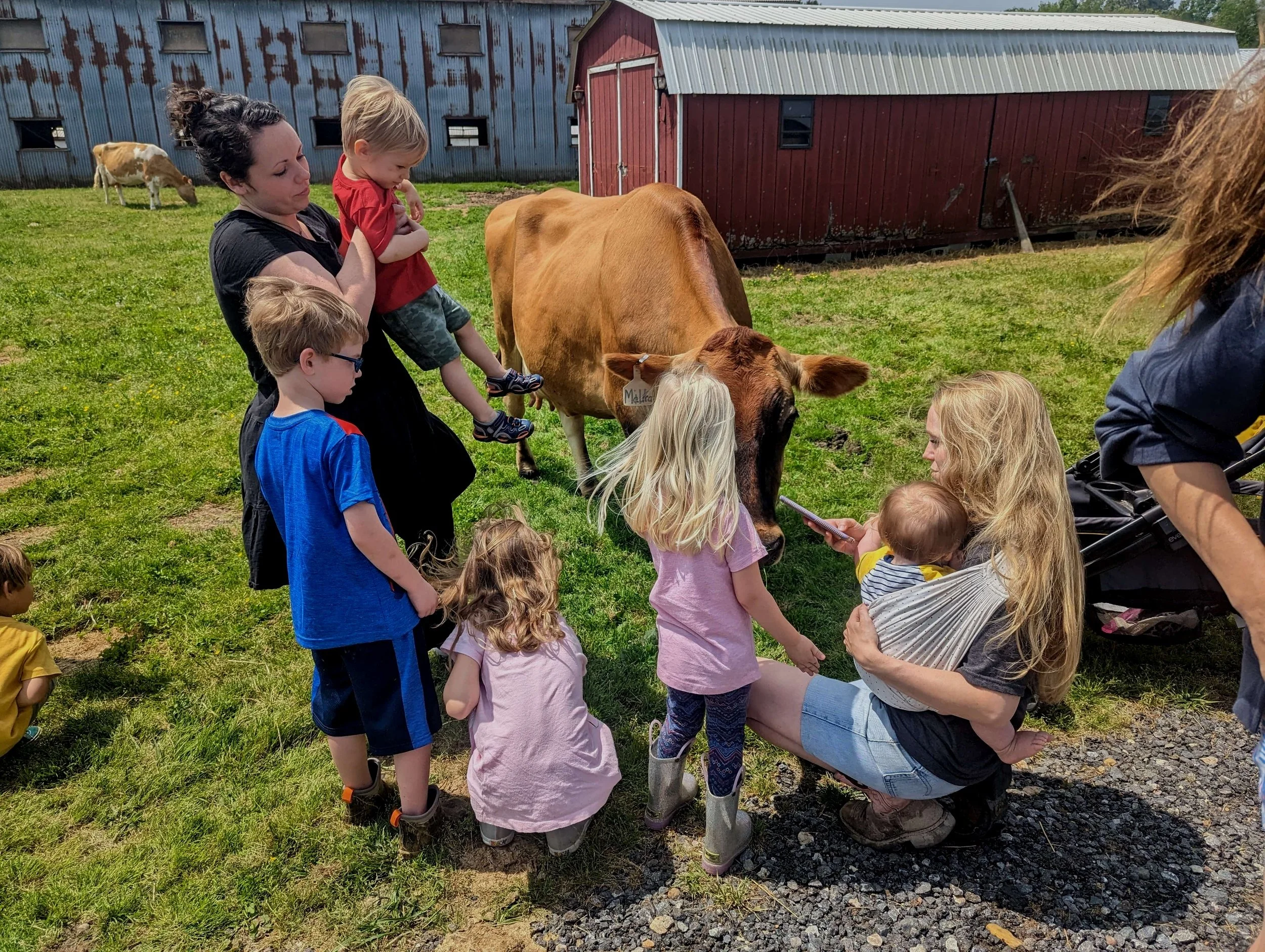 Barefoot Farm Market in Snow Hill, MD (2)