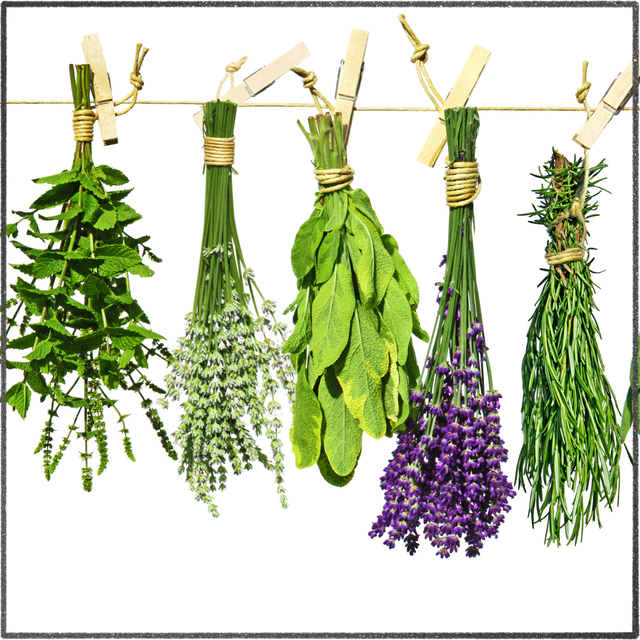Betty's Natural Foods LLC in Osgood, OH (4)