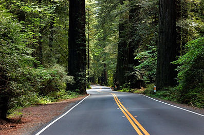RTT Performance and Repair in Fortuna, CA (2)