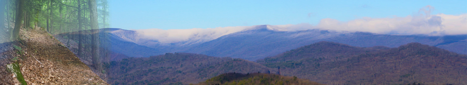 Tallant Law Offices in Robbinsville, NC (2)