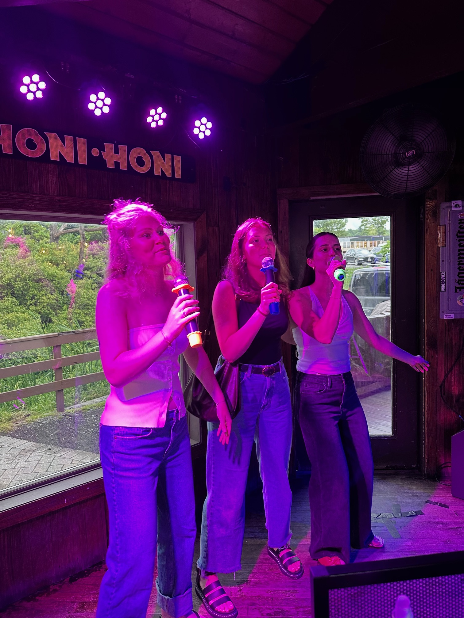 Honi Honi Bar in Oakland, MD (5)
