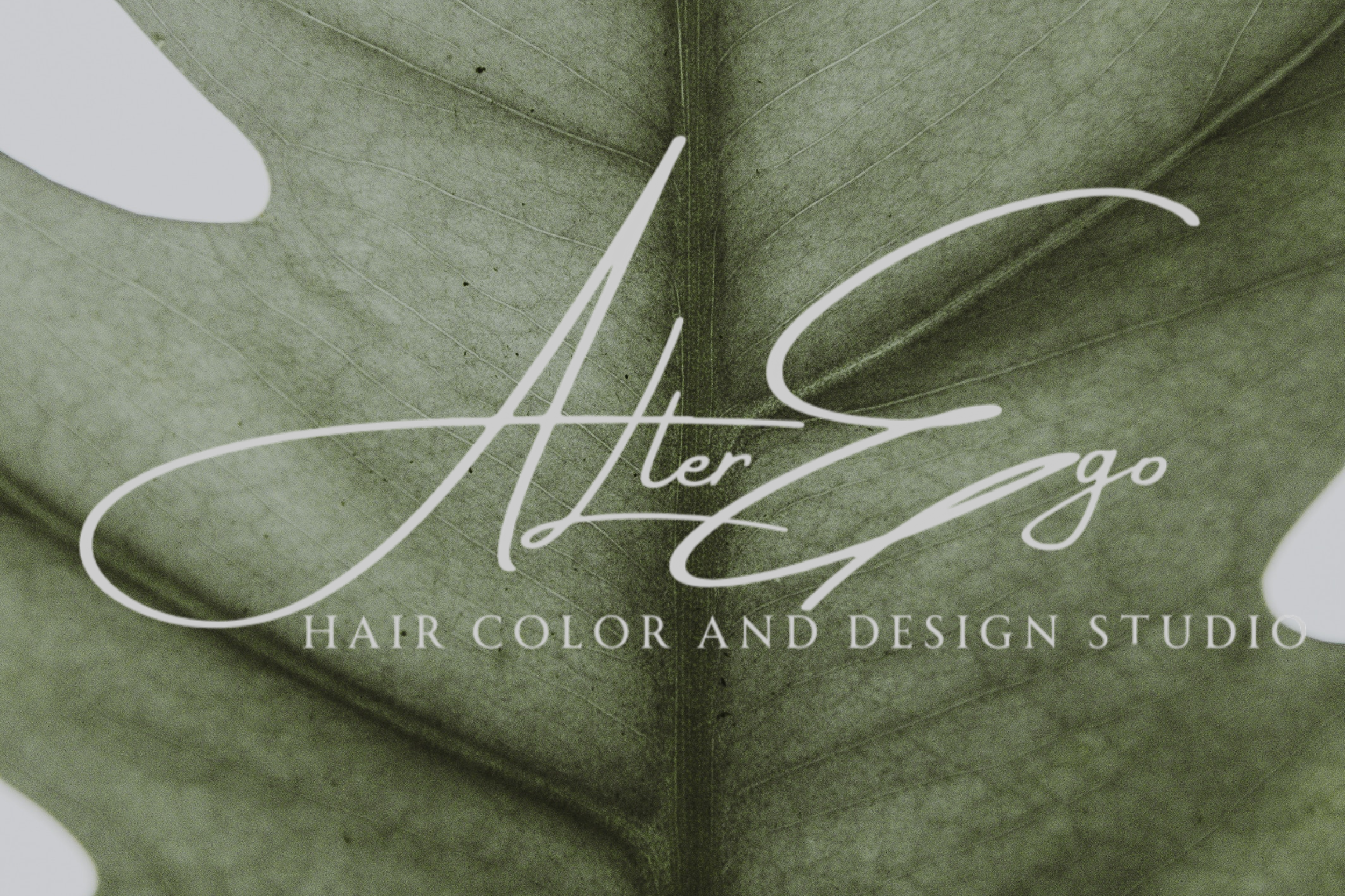 Alter Ego Hair Color in Frederick, MD