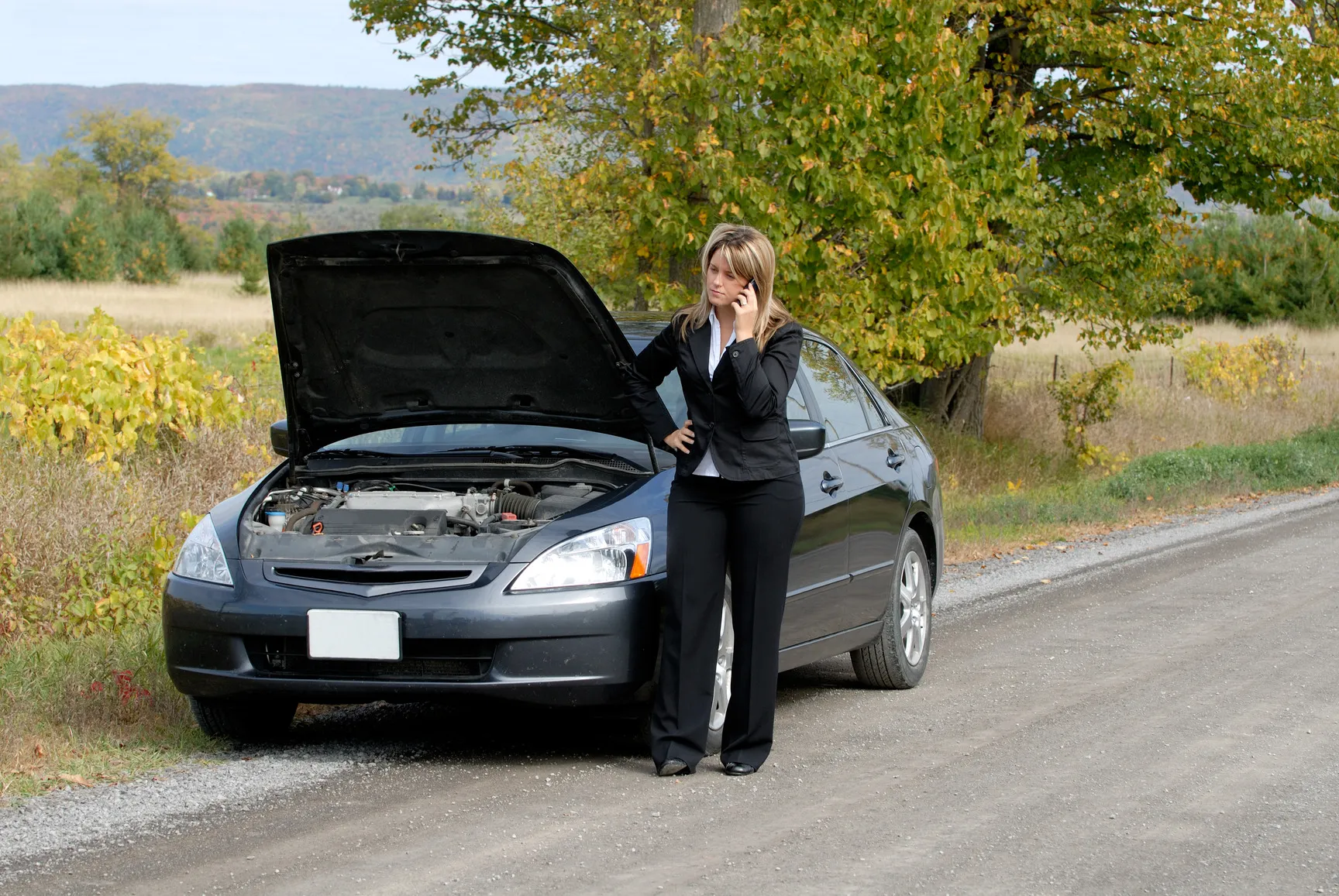 RPM Auto Repair in Santa Cruz, CA (3)