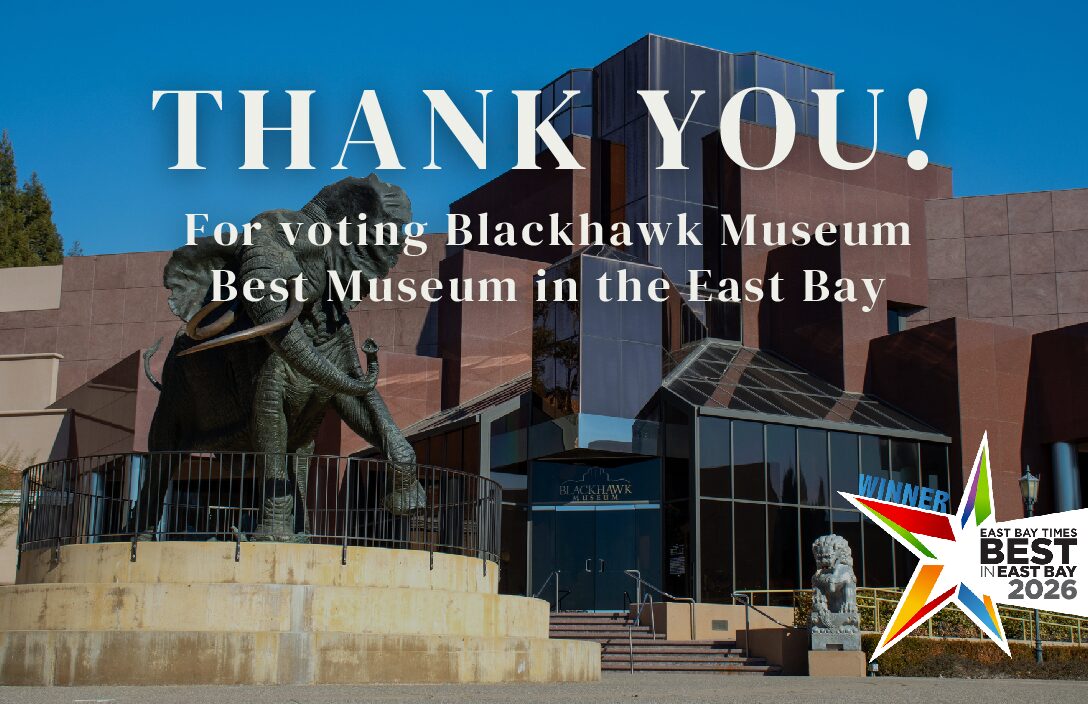 Blackhawk Museum in Danville, CA (5)