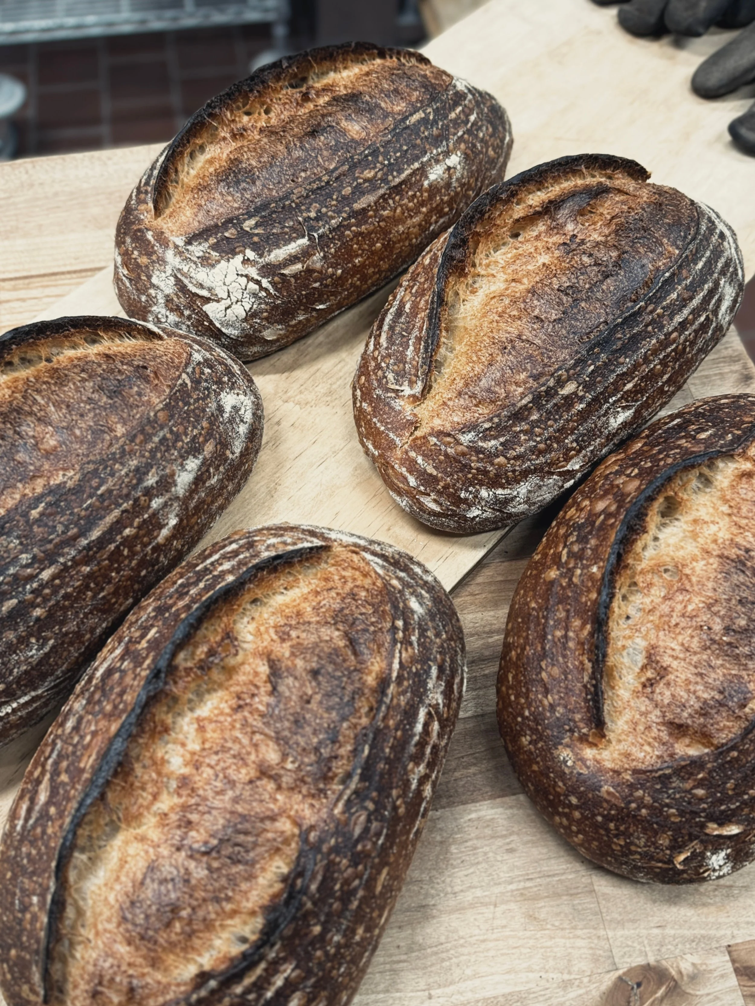 Melo Bread in Watsonville, CA (3)