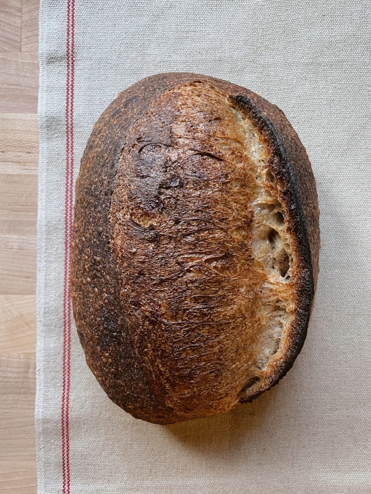 Melo Bread in Watsonville, CA (4)