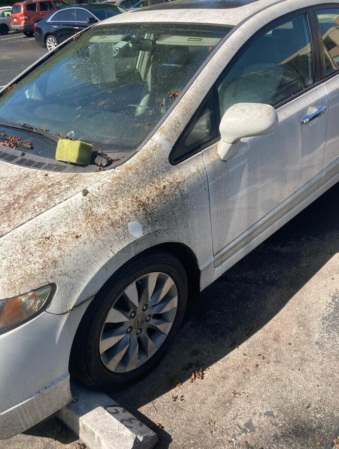 A-1 Auto Detailing in Coconut Creek, FL (5)