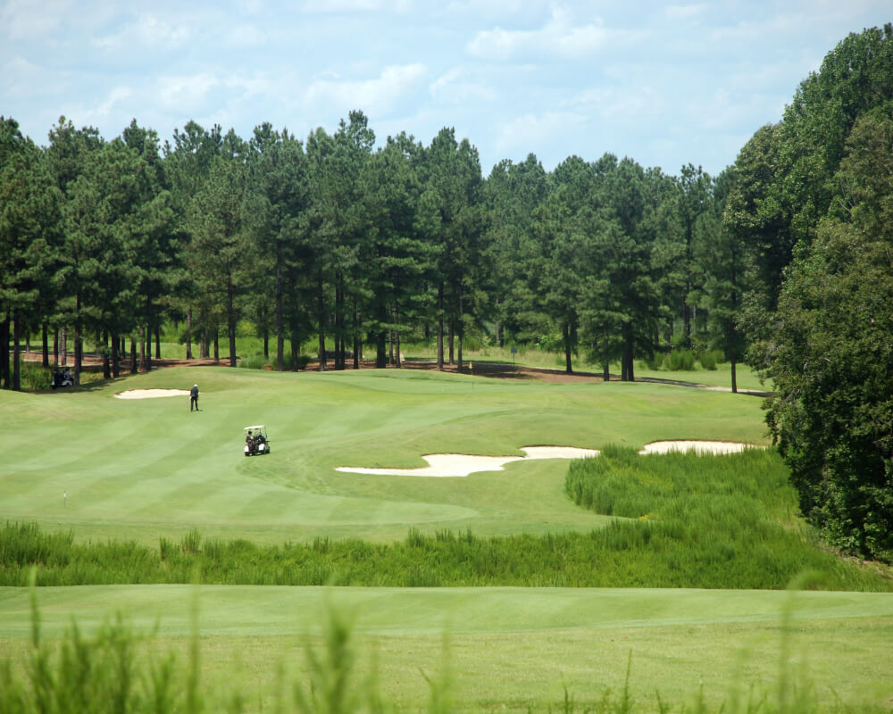 The Bethany White Group | Berkshire Hathaway HomeServices RW Towne Realty in Virginia Beach, VA (4)