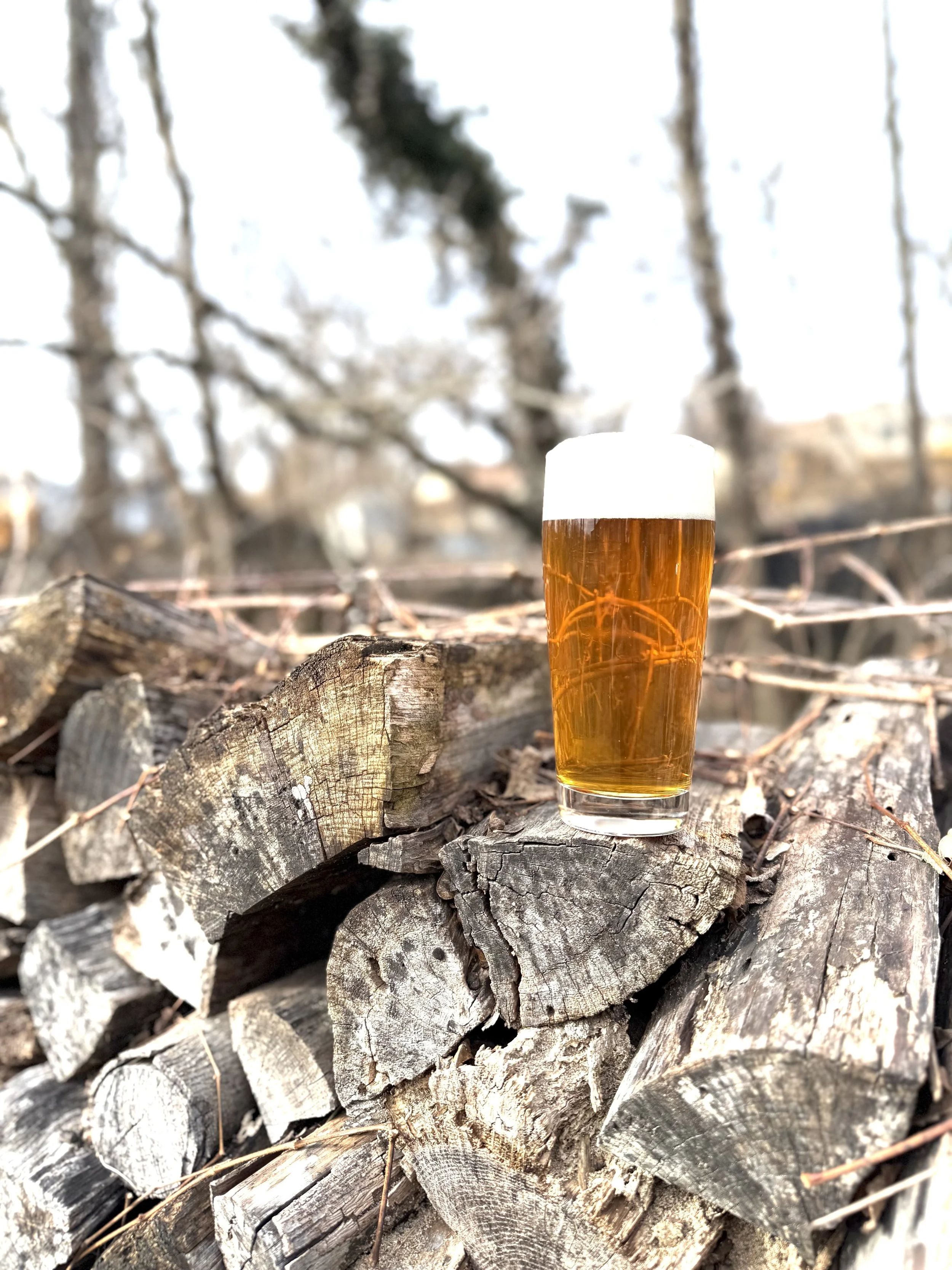 Braeloch Brewing in Kennett Square, PA (2)