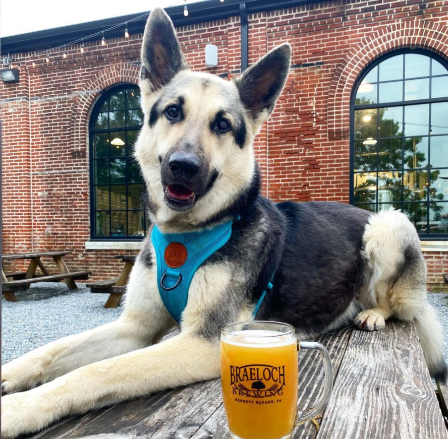 Braeloch Brewing in Kennett Square, PA (3)