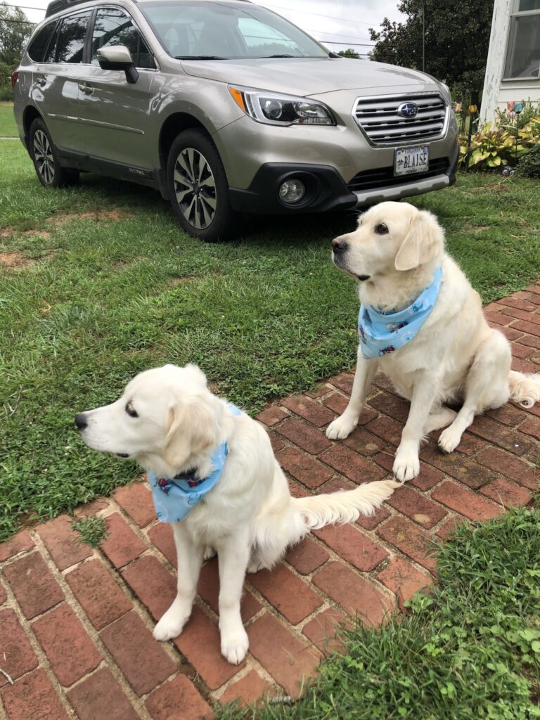 Sheila's Pet Grooming in Amherst, VA