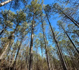 AFM Real Estate - Walterboro, SC Office in Walterboro, SC (6)