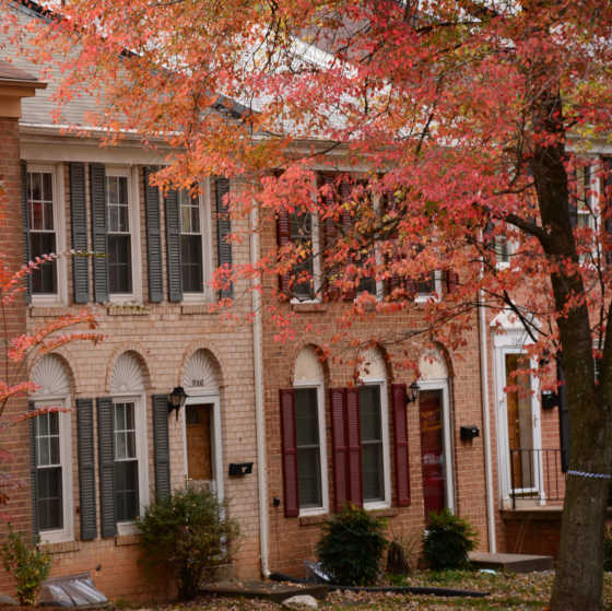 Valor Group at Real Broker in Craigsville, VA (3)