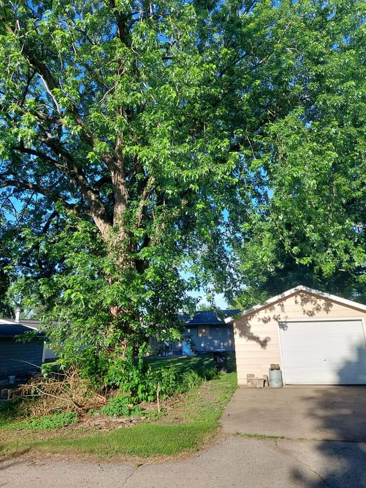 High Demand Tree Care LLC in Onalaska, WI