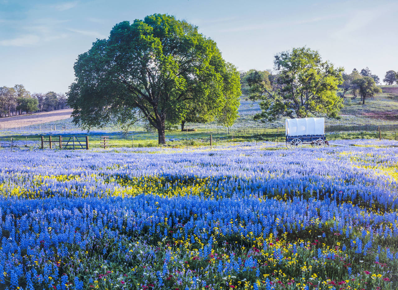 Premier Hill Country Properties in Bulverde, TX (3)