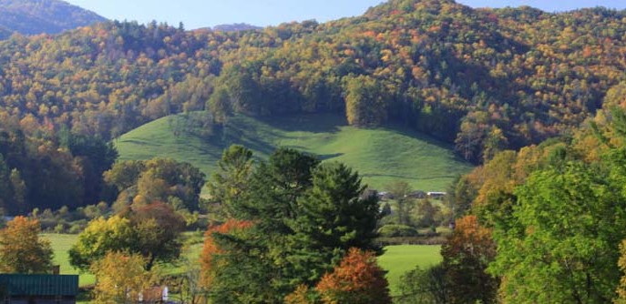 Mountain Mike Realty of Beech Mountain NC in Beech Mountain, NC (2)