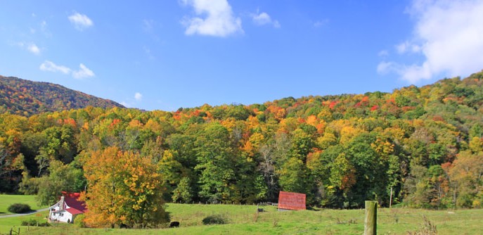 Mountain Mike Realty of Beech Mountain NC in Beech Mountain, NC (3)